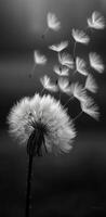 Dandelion seeds drifting in the breeze. Dandelion seeds drift on the wind, showcasing the beauty of nature's cycle against a soft backdrop. photo