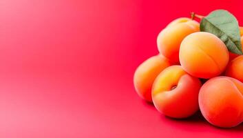 Fresh apricots on bright background. Colorful apricots with soft skin cluster on a bright pink background, showcasing their freshness. photo
