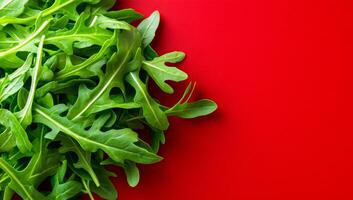 Arugula on red backdrop. Bright green arugula leaves are arranged on a bold red surface, creating a striking contrast of colors. photo