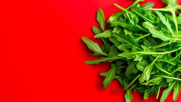 Arugula on red background. Crisp arugula leaves are arranged on a bright red surface, showcasing their vibrant green color and texture. photo