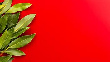 Bay leaves on a vibrant red background. Fresh bay leaves on a rich red background create a striking visual contrast and appealing aesthetic. photo