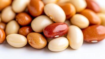 Colorful dried beans on display. Various dried beans in shades of red, brown, and beige are arranged together, showcasing their rich colors and textures. photo