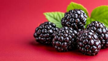Fresh blackberries on red background. Juicy blackberries are arranged on a vibrant red surface, showcasing their deep color and rich texture. photo