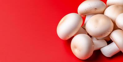 Fresh white mushrooms on red background. A cluster of fresh white mushrooms stands out beautifully against a vibrant red background. photo