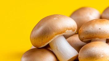 Mushrooms on bright yellow backdrop. Fresh brown mushrooms arranged closely against a vibrant yellow background, showcasing their smooth textures and shapes. photo