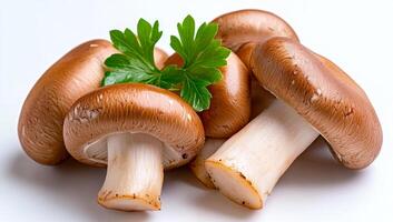 Fresh brown mushrooms with green parsley. Four fresh brown mushrooms are arranged alongside sprigs of green parsley on a light background. photo