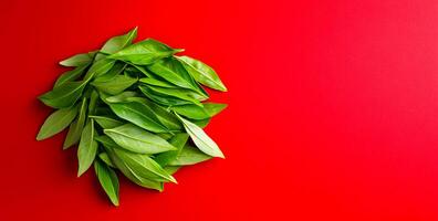 Green leaves on red backdrop. Vibrant green leaves are arranged neatly against a bright red background, showcasing a striking color contrast. photo