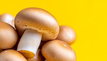 Mushrooms on bright yellow background. Fresh mushrooms with smooth, golden caps stand out against a vibrant yellow background, highlighting their texture. photo