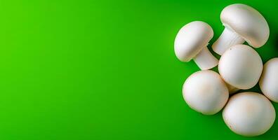 Mushrooms on green backdrop. Fresh white mushrooms arranged on a bright green surface, showcasing their smooth texture and natural color. photo