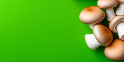 Mushrooms on green surface. Fresh mushrooms with smooth brown caps are scattered on a vibrant green background, showcasing their natural beauty. photo
