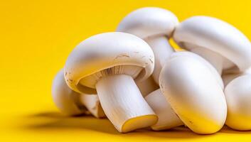 Mushrooms on bright yellow. A pile of fresh white mushrooms rests atop a bright yellow background, showcasing their clean and smooth texture. photo