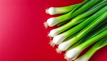 Green onions on a bright backdrop. Fresh green onions are displayed neatly against a bright red background, showcasing their crispness and color. photo