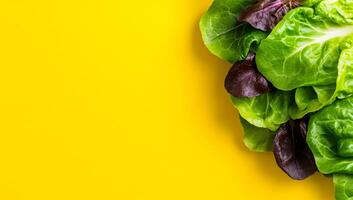 Fresh greens on bright bg. Crisp, vibrant lettuce leaves arranged against a striking yellow backdrop, showcasing fresh produce in a simple layout. photo