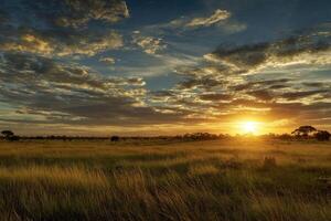 A vibrant sunset over a vast grassy plain photo