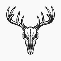 Sketch of deer head skull with horns vector