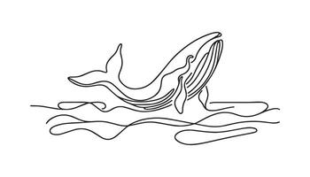 Whale in continuous line art drawing style. Black linear design isolated on white background. V vector