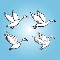 A set of flying swan art in the sky vector