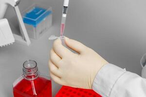 A hand in a light-colored glove carefully adds a pink reagent to a small test tube in a laboratory with a pipette. photo