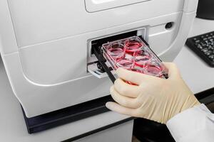 A gloved hand loads a multiwell plate with red samples into a laboratory analyzer. photo