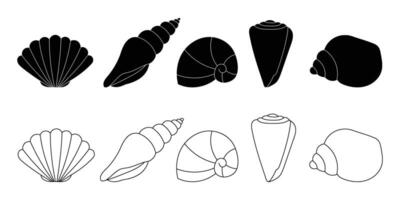 Seashells outline and black shape silhouette icons isolated on white background. Underwater mollusk design elements vector