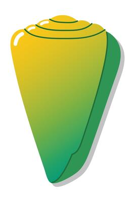 Vibrant yellow and green sea shell on white background.