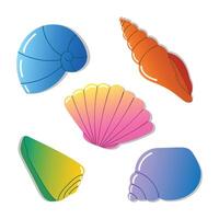 Sea shell set. Vibrant colorful gradient isolated on white background. Ocean exotic underwater seashell conch aquatic mollusk, sea spiral snail collection. Tropical beach shells. vector