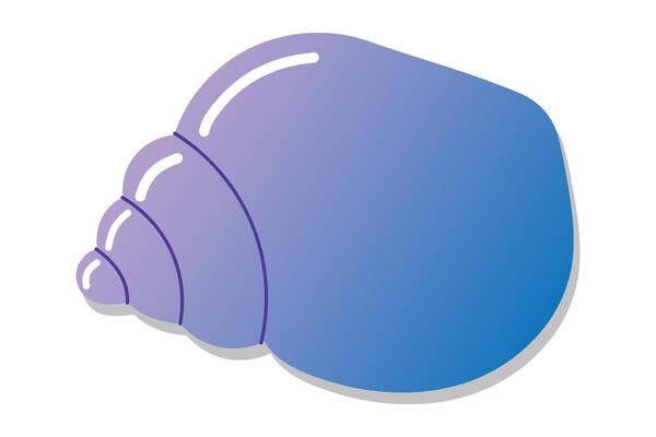 Colorful gradient seashell illustration on white background.