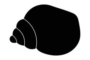 Black and white conch shell illustration on white background. vector
