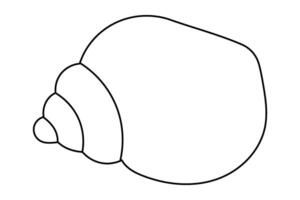 Simple outline of a seashell on white background. vector