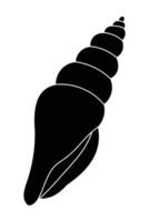 Spiral seashell on white background with intricate pattern. vector