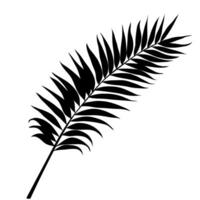 Black Palm Leaf Silhouette illustration with natural design elements on isolated background. vector