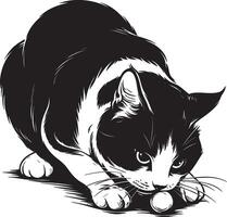 Black and white cat pawing a small ball in minimalist hand drawn artwork style vector