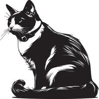 Monochrome drawing of cat sitting with upright posture and forward gaze vector