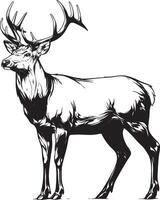 Black and white illustration of alert deer with antlers standing tall vector