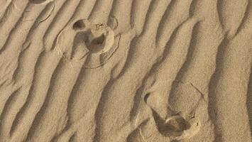 A person walking on the sand with their feet in the sand photo