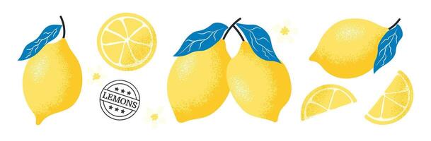 Playful set of whole lemons, lemon slices, and blossoms. Fresh and dynamic citrus composition ideal for packaging and summer prints. illustration on transparent background vector