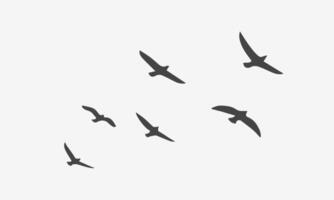 Flying Birds Silhouette in different positions vector