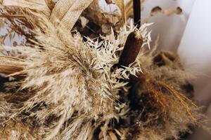 Dried floral arrangement showcasing intricate textures and natural elements in a modern setting photo