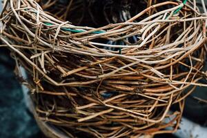 Detailed close up of natural twigs and vines forming an intricate texture in an outdoor setting photo