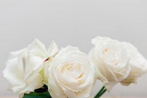 Beautiful white roses arranged elegantly in a simple setting for a serene ambiance photo