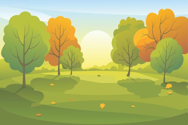 illustration of a forest landscape with trees and grass