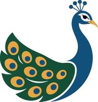 A peacock with blue and green feathers vector