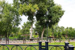 Scenic urban park with lush greenery and walking paths on a sunny afternoon photo