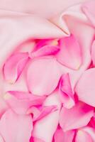 Pink flower petals scattered on soft fabric create a calming and romantic atmosphere photo