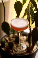 close up of an alcoholic beverage depicting a cocktail glass filled with a bright red liqueur with a foamy top. photo