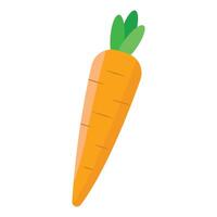 Illustration of a carrot. isolated on a white background vector