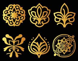 Luxury ornamental Patterns Design vector
