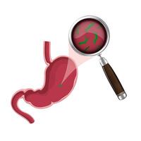 Helicobacter pylori bacteria with zoom vector