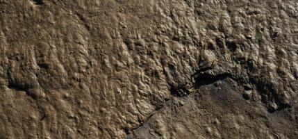 wet mud texture background photo