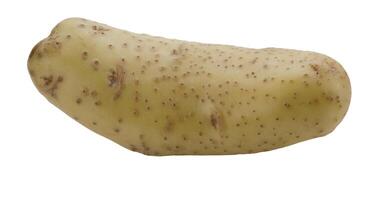 One raw potato is lying down.isolated on a white background photo